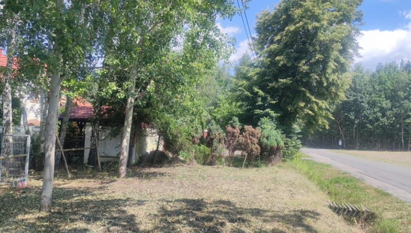 Działka Sprzedaż Borzęcin Duży Spacerowa
